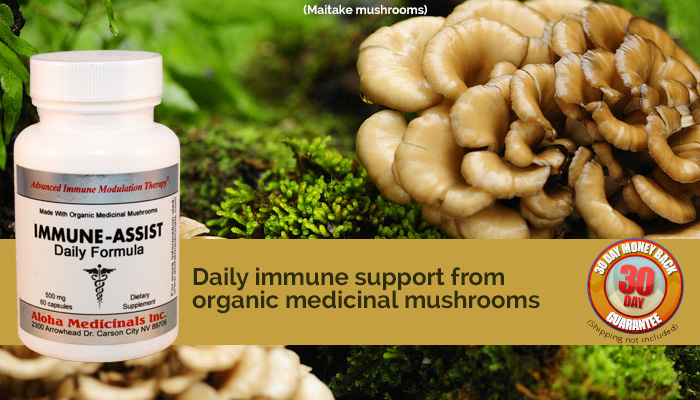 Immune Assist Medicinal Mushrooms