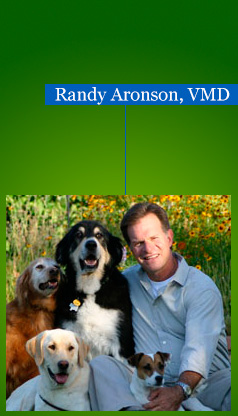 Randy Aronson, DMV