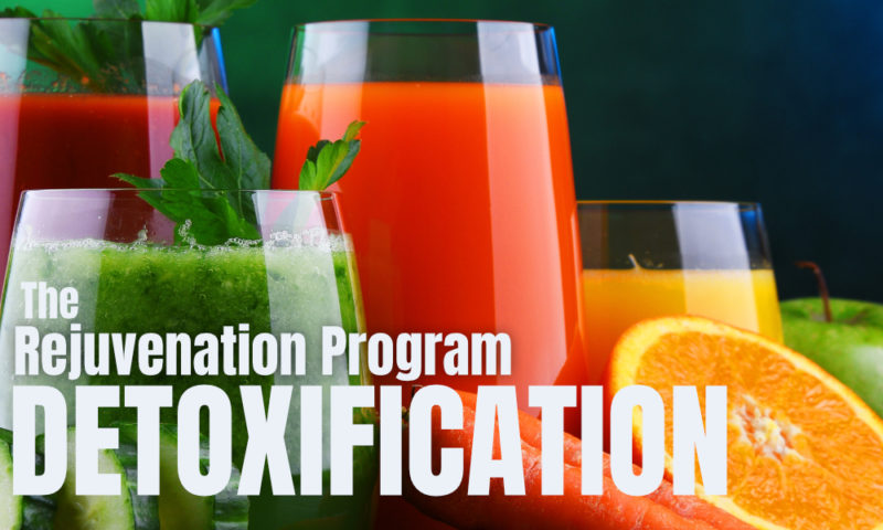 Rejuvenation Program: Detoxification