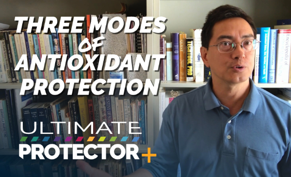 3 Modes of Antioxidant Protection