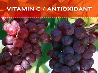 Foundational Supplements - Vitamin C or Antioxidant