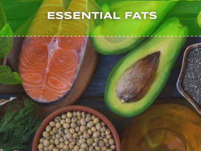 Foundational Supplements - Essential Fats
