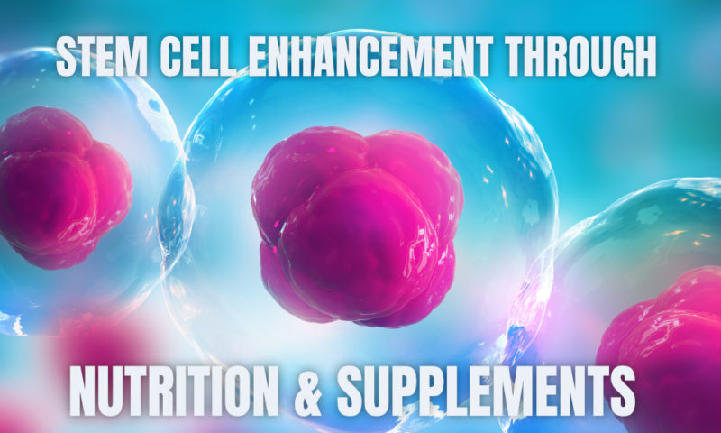 Stem Cell Enhancement Through Nutrition and Supplements