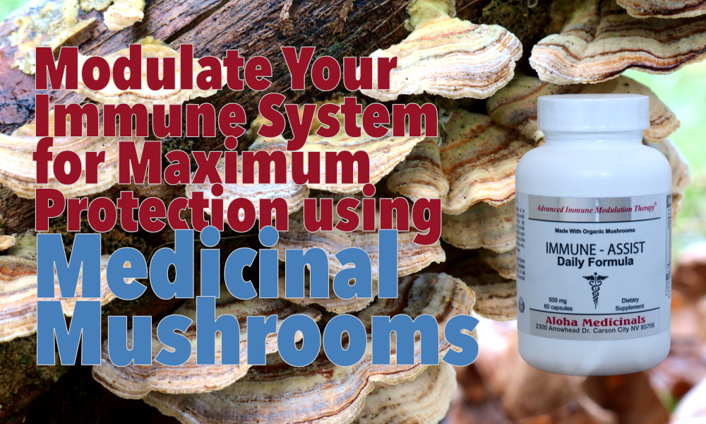 Immune Assist Daily Formula