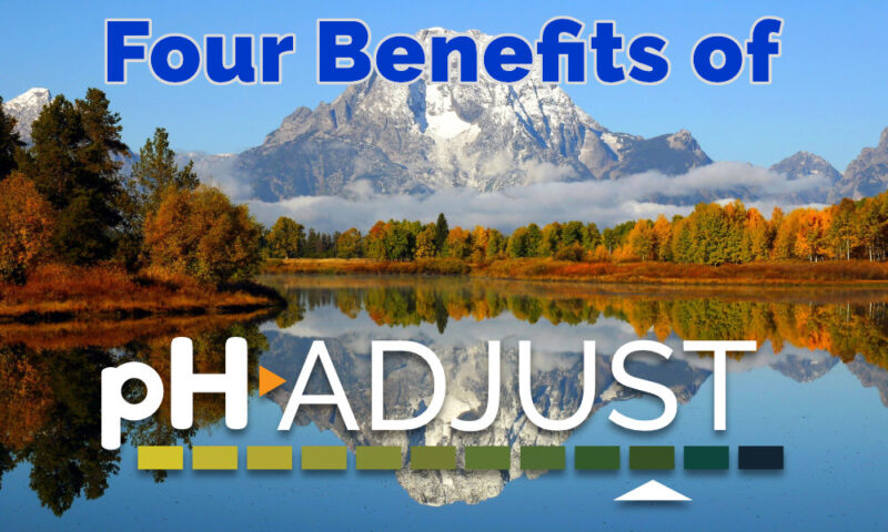 4 Benefits of pH Adjust